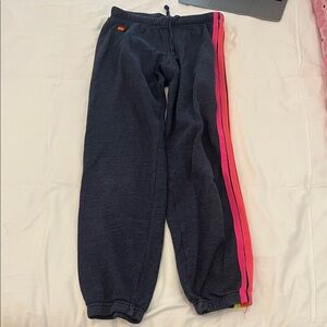 Aviator Nation Navy/Gray pants w Stripe